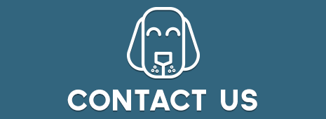 Contact-Dog